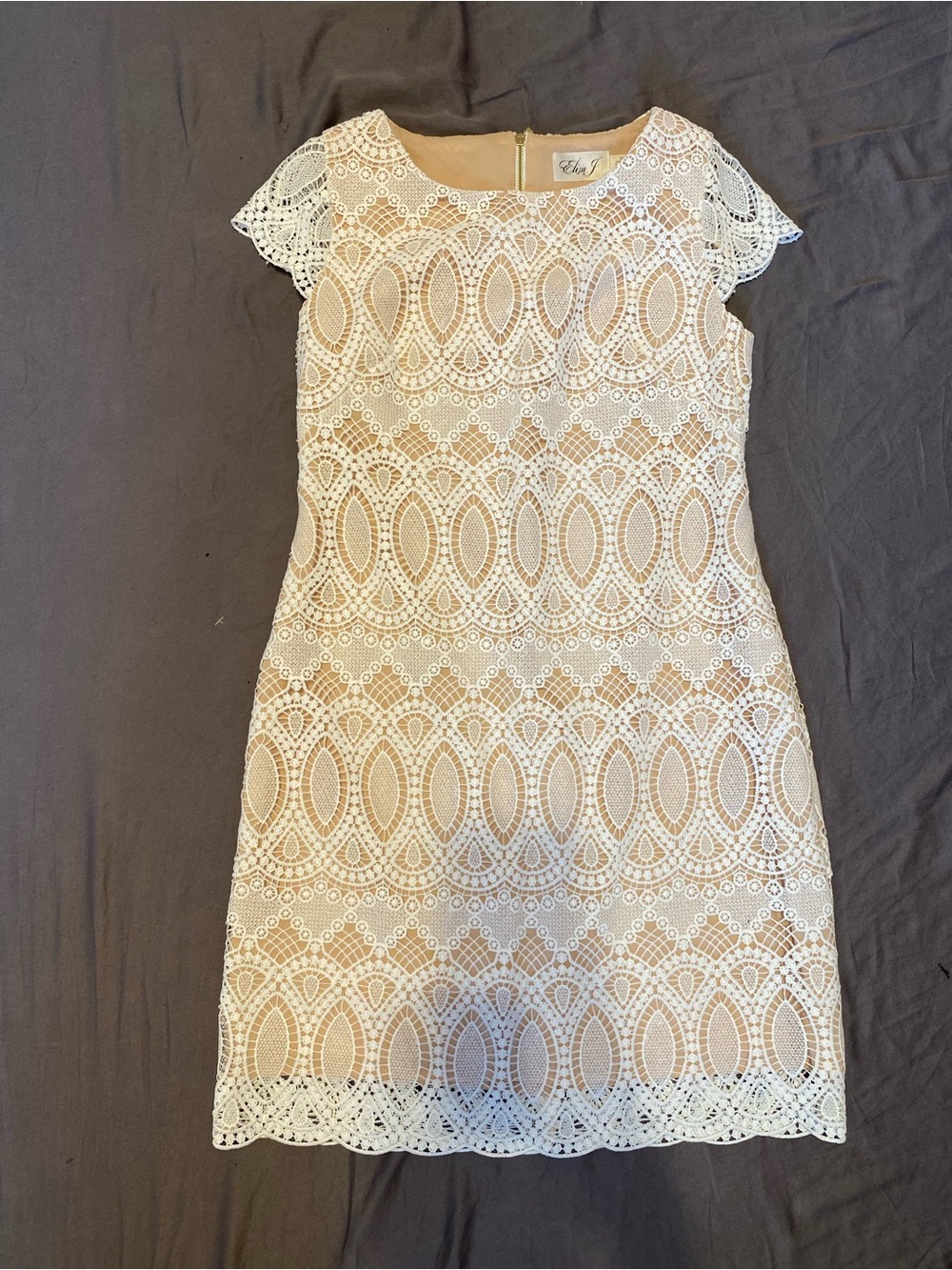 Eliza J white beige lace knee length dress w/ frill sleeves, petite size 2P